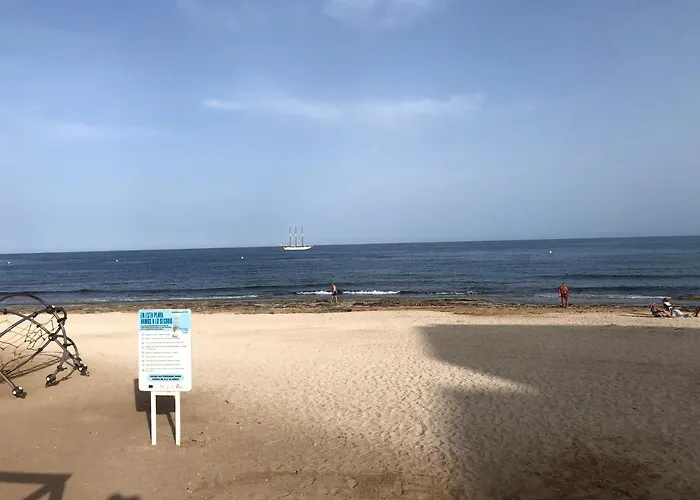 Playa Frente Al Mar * تورّيفيِخا